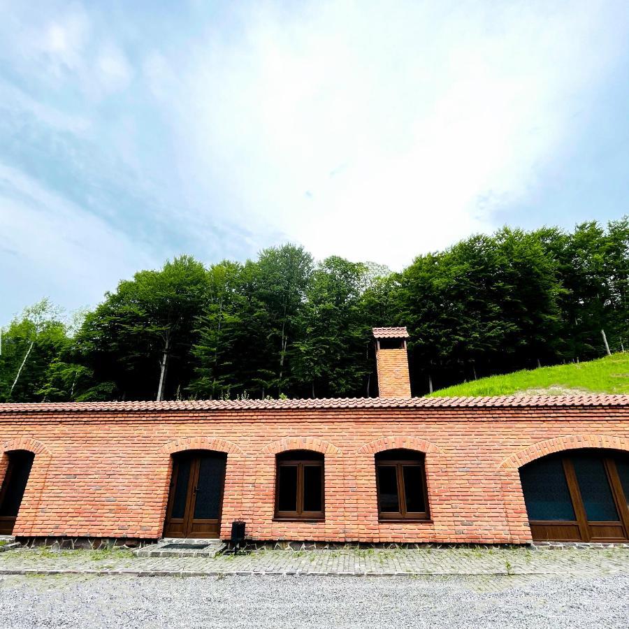 Комплекс Скала Villa Serednye Vodyane Buitenkant foto